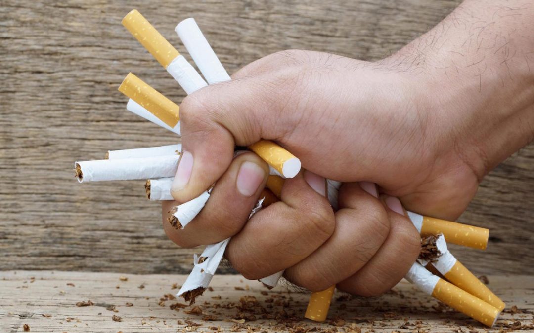 North Lakes Dentist and World No Tobacco Day