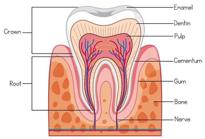 sensitive teeth treatment north lakes and mango hill