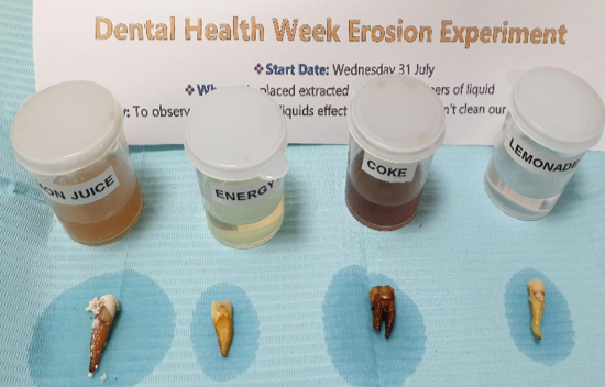 13-8-19 two weeks after commencement of experiment